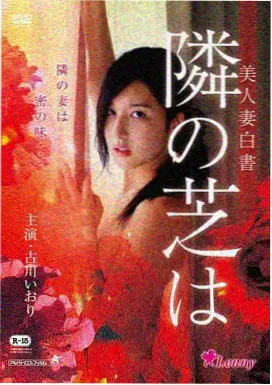 银盐年代剧场版封面